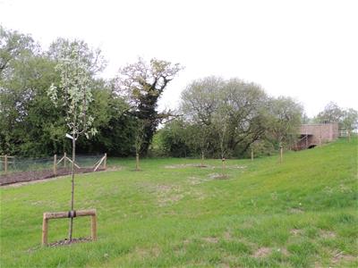 Picture 21